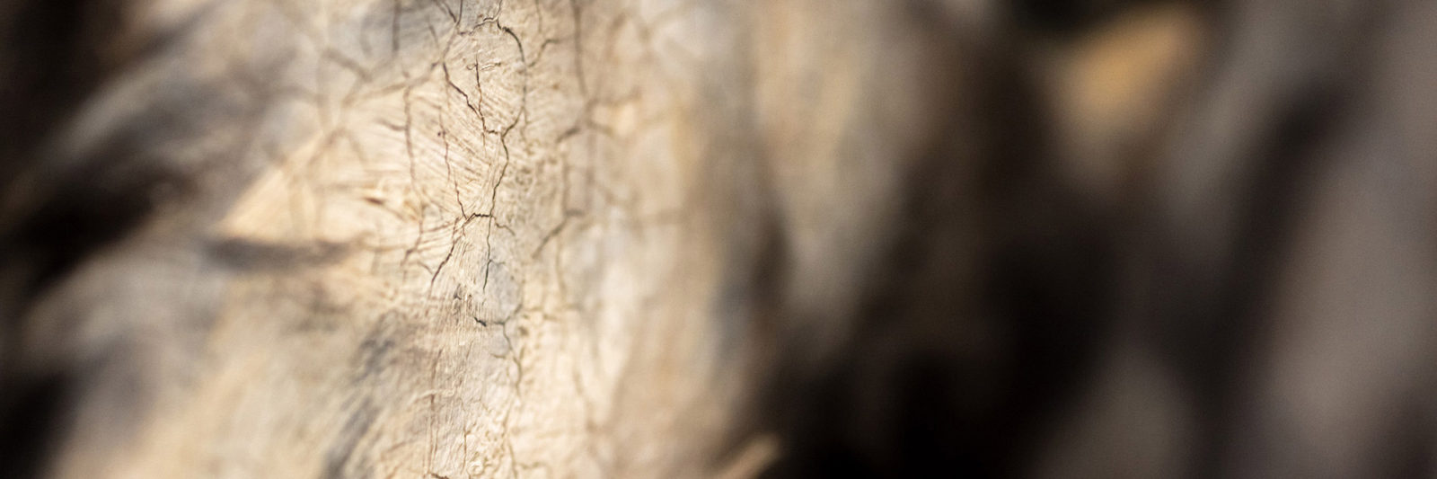 smith greenfield 040