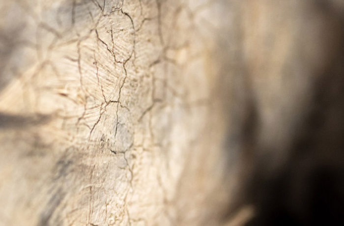 smith greenfield about quote mobile