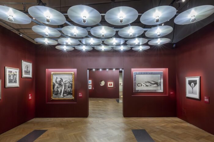 Fragile Beauty Exhibition, 14th May 2024