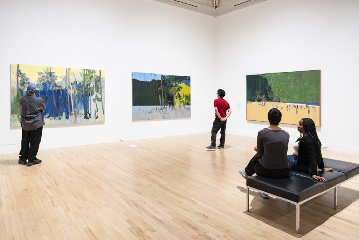 Press photography of Hurvin Anderson exhibition, 2026